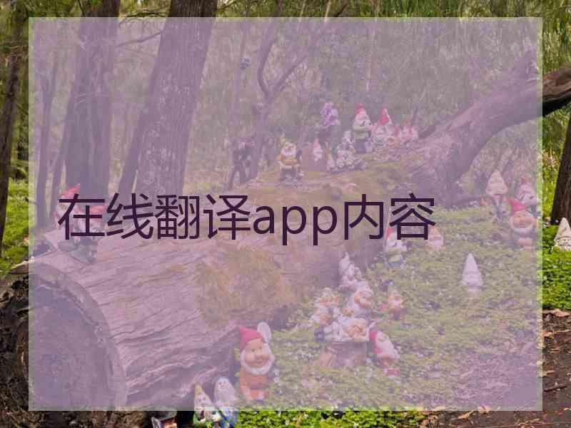 在线翻译app内容