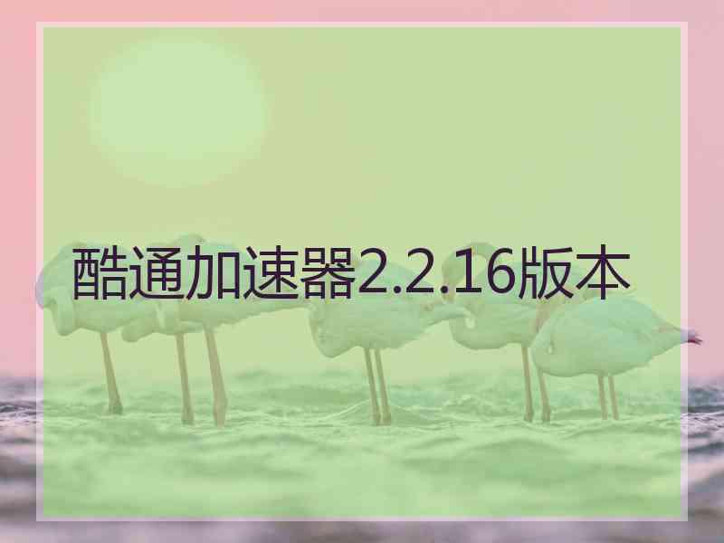 酷通加速器2.2.16版本