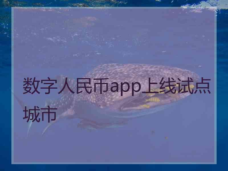 数字人民币app上线试点城市