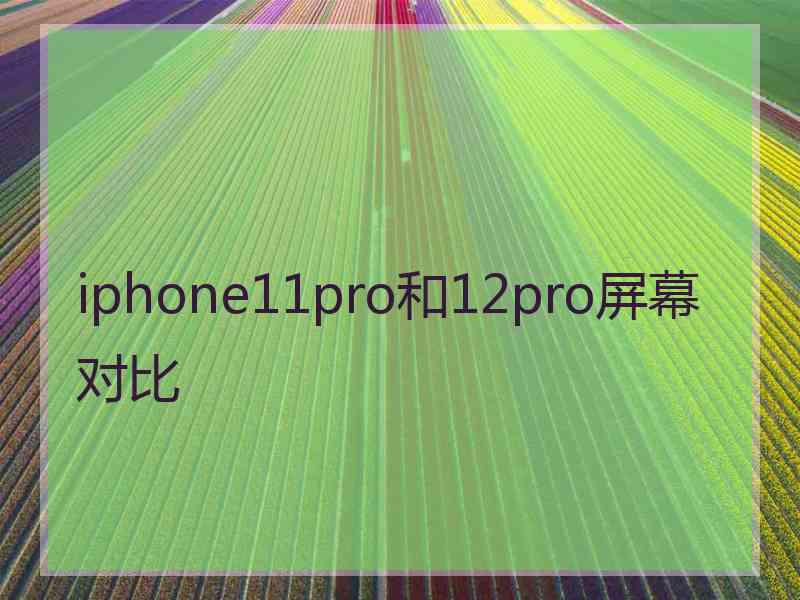 iphone11pro和12pro屏幕对比