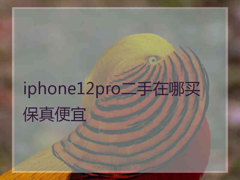 iphone12pro二手在哪买保真便宜