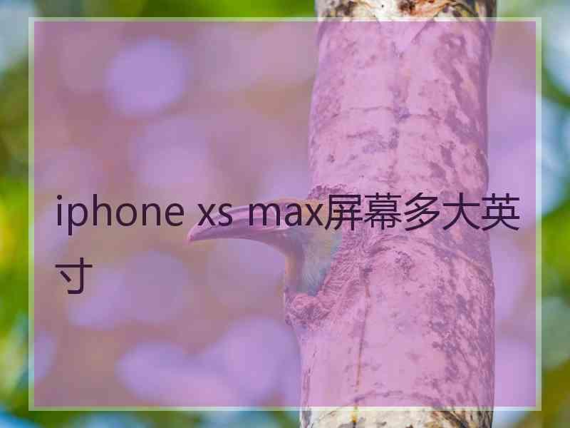 iphone xs max屏幕多大英寸