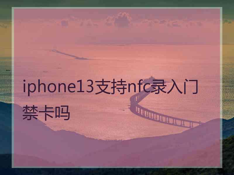 iphone13支持nfc录入门禁卡吗