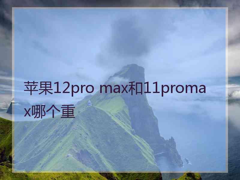 苹果12pro max和11promax哪个重