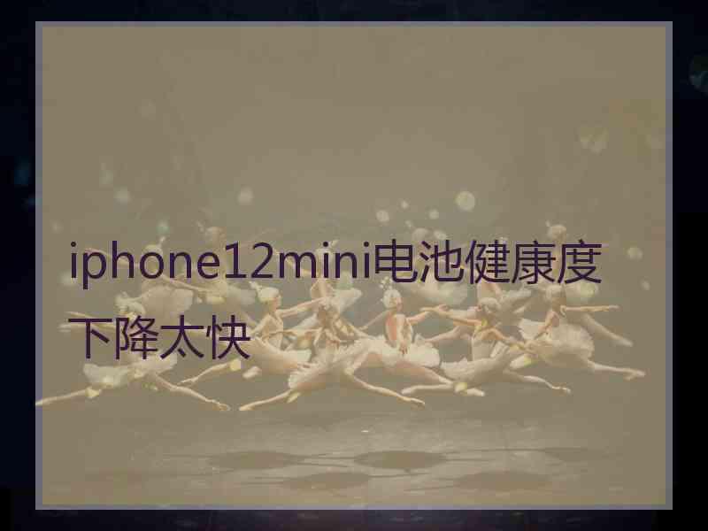 iphone12mini电池健康度下降太快