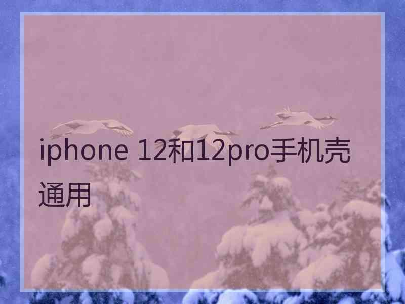 iphone 12和12pro手机壳通用