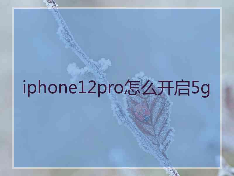 iphone12pro怎么开启5g