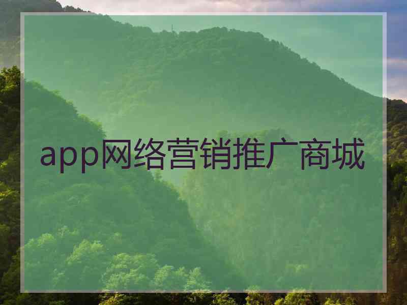 app网络营销推广商城