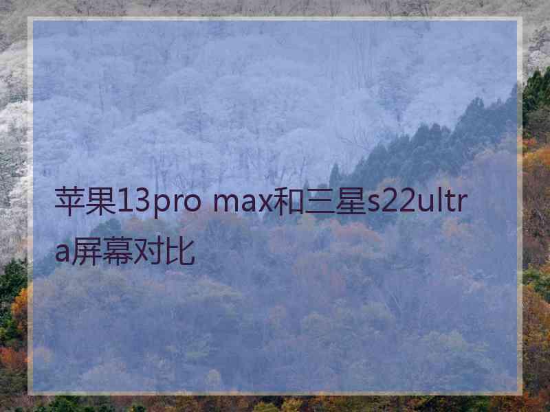 苹果13pro max和三星s22ultra屏幕对比