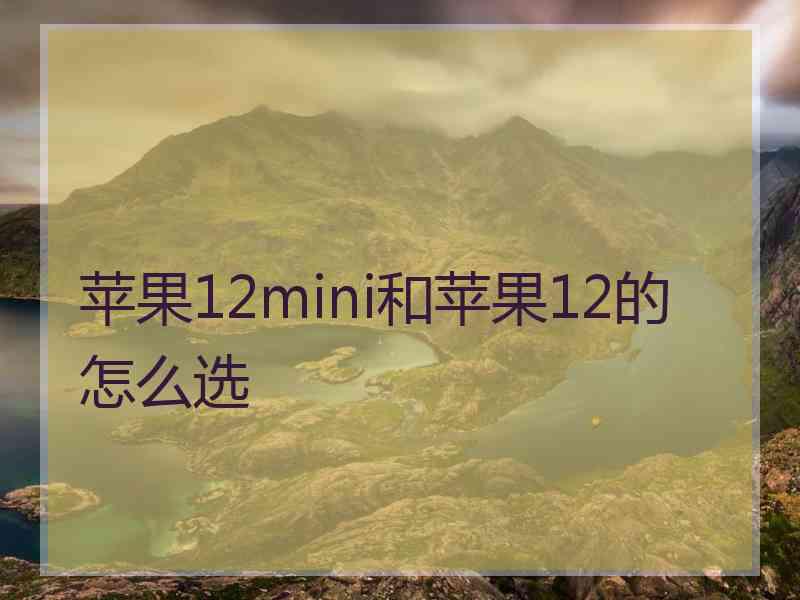 苹果12mini和苹果12的怎么选