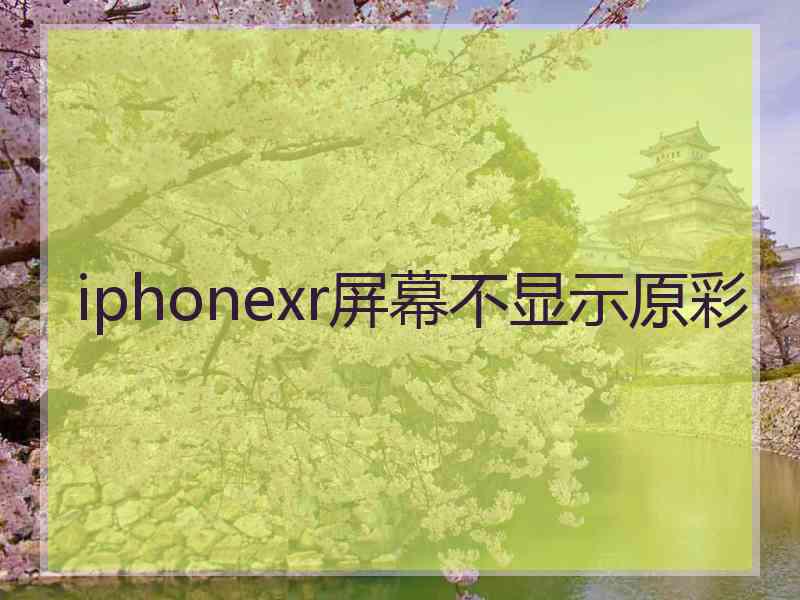 iphonexr屏幕不显示原彩