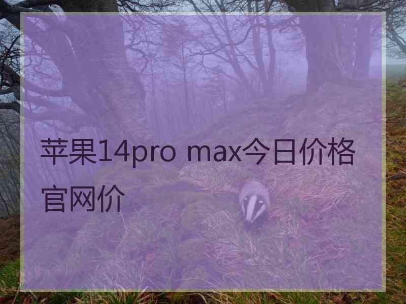 苹果14pro max今日价格官网价