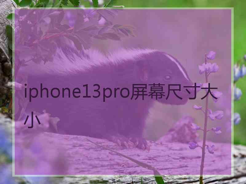 iphone13pro屏幕尺寸大小