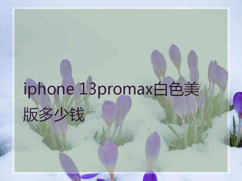 iphone 13promax白色美版多少钱