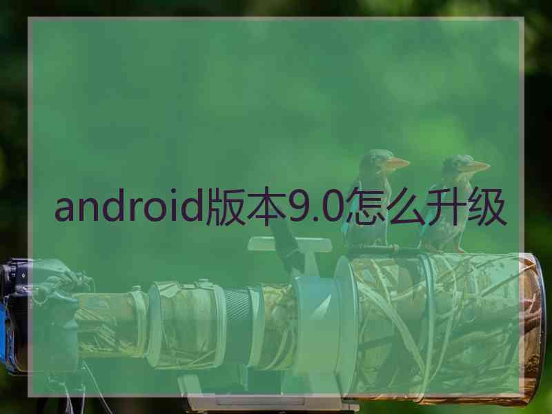 android版本9.0怎么升级