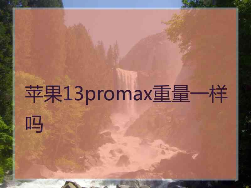 苹果13promax重量一样吗