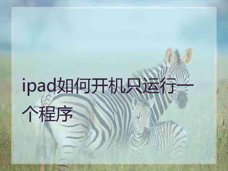 ipad如何开机只运行一个程序