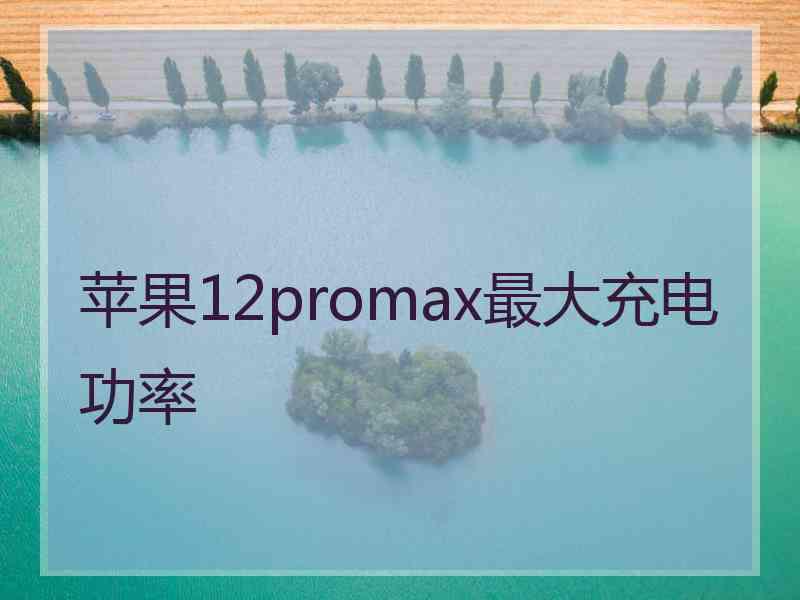 苹果12promax最大充电功率