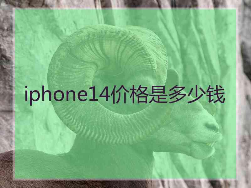 iphone14价格是多少钱