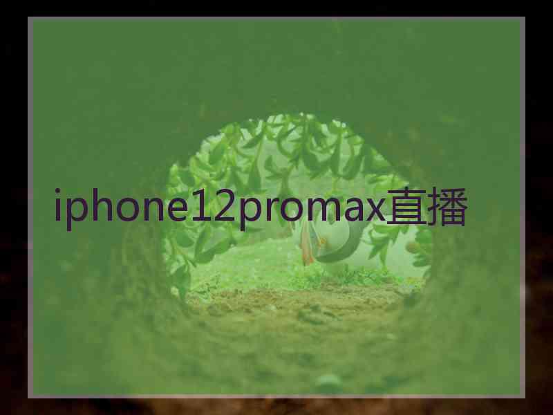 iphone12promax直播