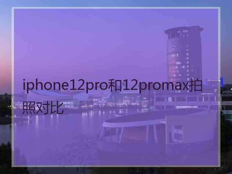 iphone12pro和12promax拍照对比