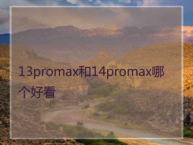 13promax和14promax哪个好看