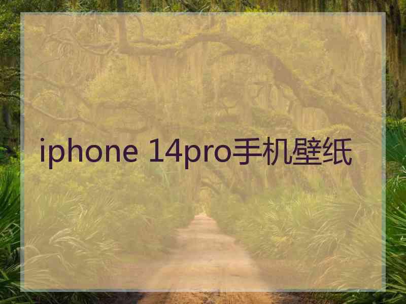 iphone 14pro手机壁纸