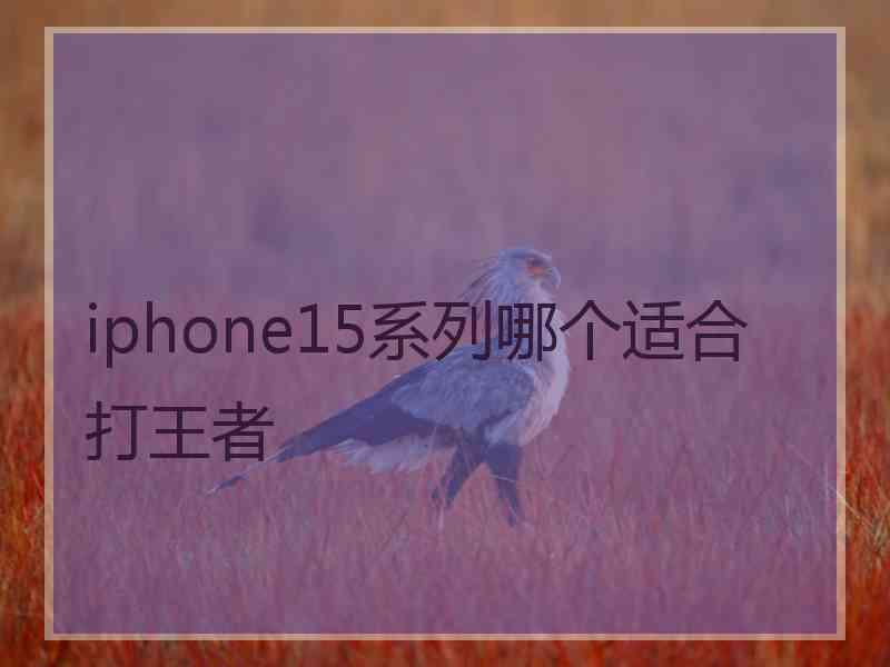 iphone15系列哪个适合打王者