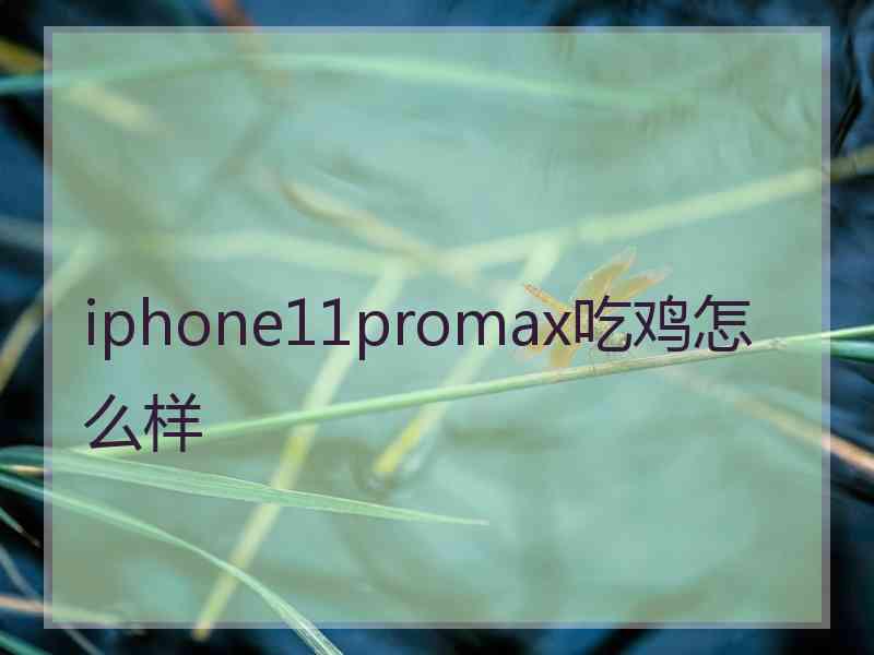 iphone11promax吃鸡怎么样