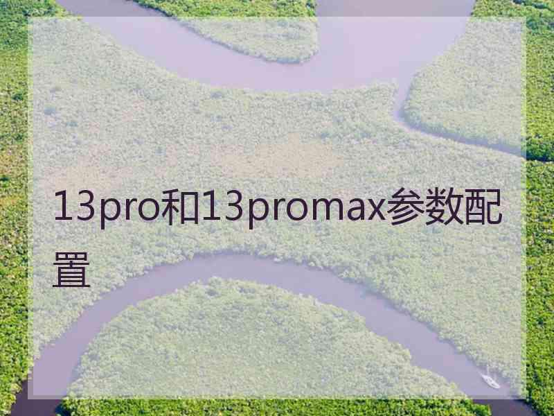 13pro和13promax参数配置