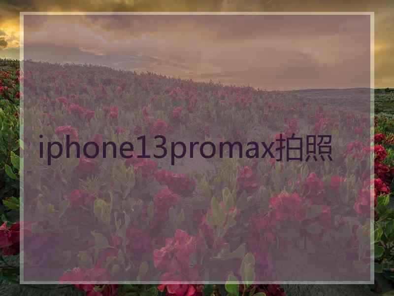 iphone13promax拍照