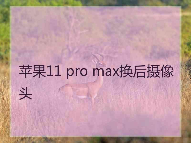 苹果11 pro max换后摄像头