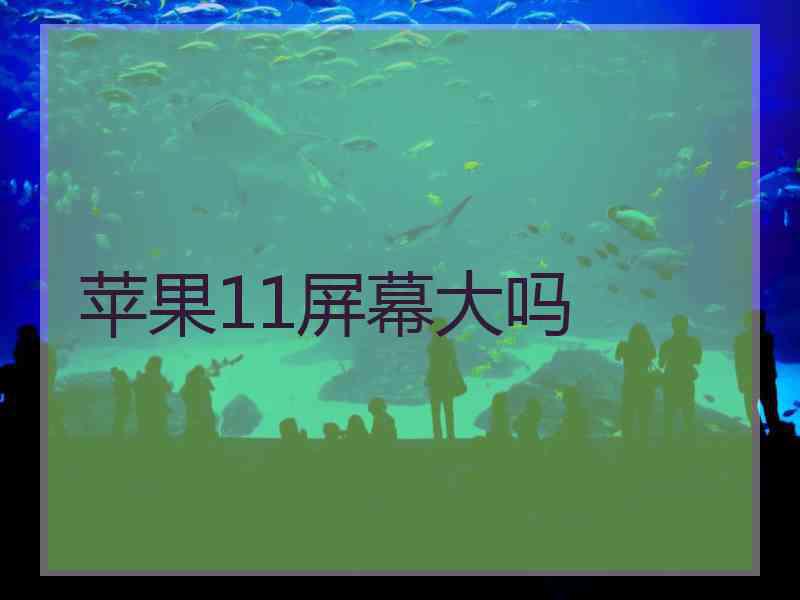 苹果11屏幕大吗