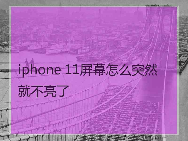 iphone 11屏幕怎么突然就不亮了