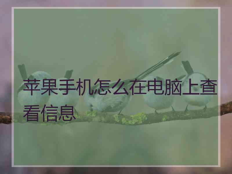 苹果手机怎么在电脑上查看信息