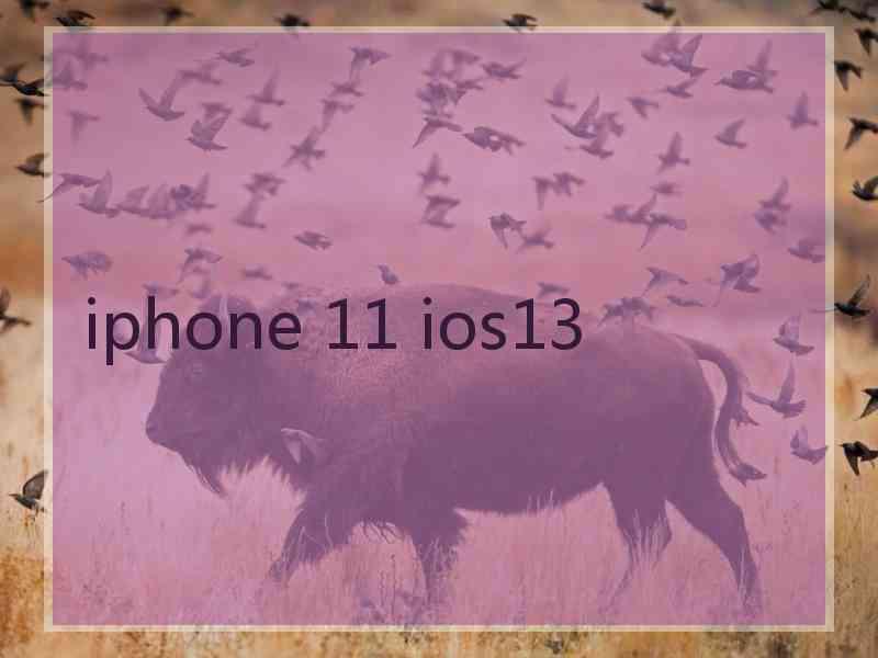 iphone 11 ios13