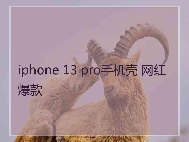 iphone 13 pro手机壳 网红爆款