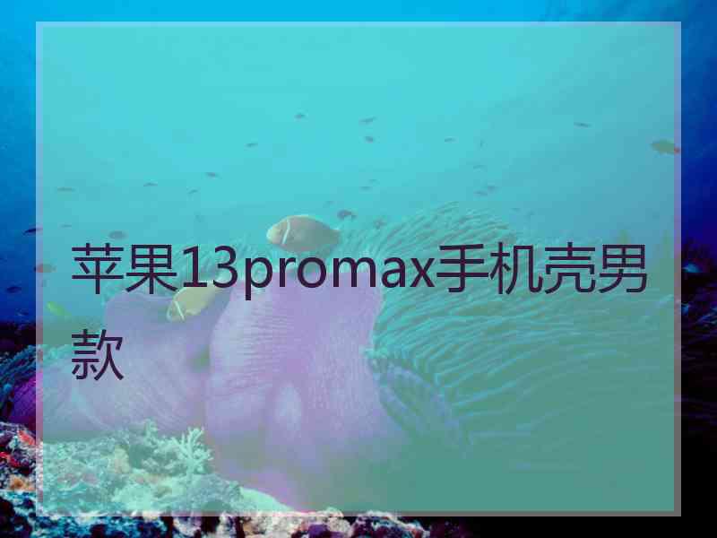 苹果13promax手机壳男款