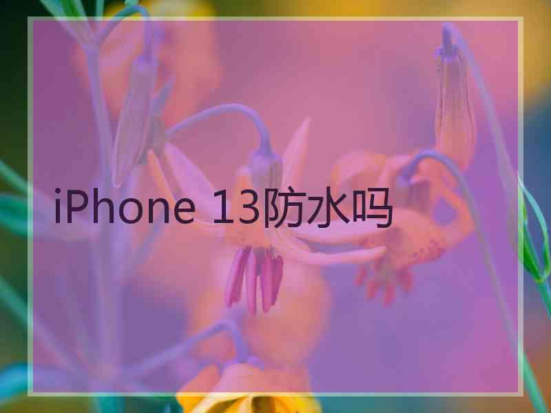 iPhone 13防水吗