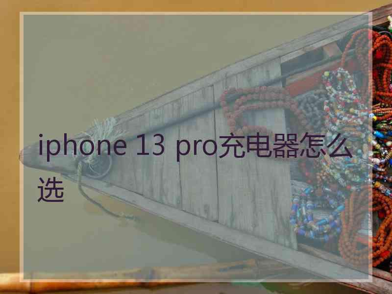 iphone 13 pro充电器怎么选