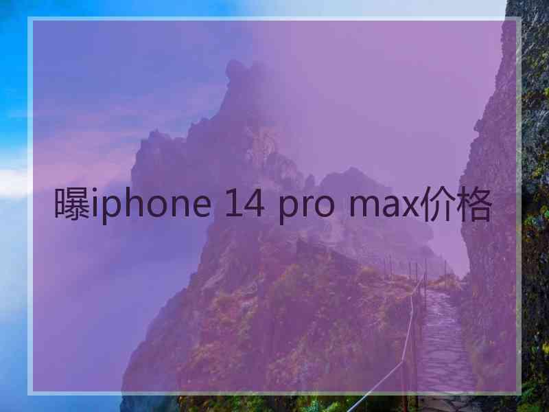 曝iphone 14 pro max价格