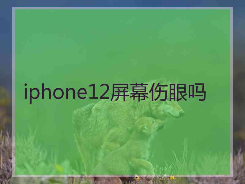 iphone12屏幕伤眼吗