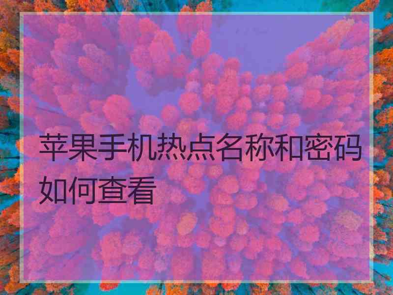 苹果手机热点名称和密码如何查看