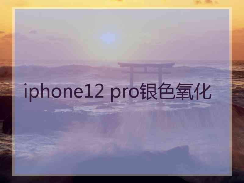 iphone12 pro银色氧化