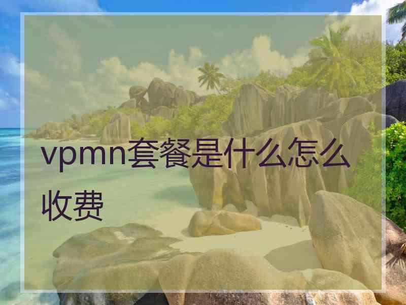 vpmn套餐是什么怎么收费