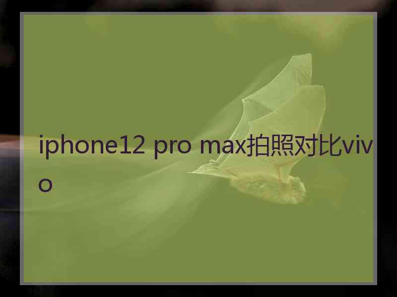 iphone12 pro max拍照对比vivo