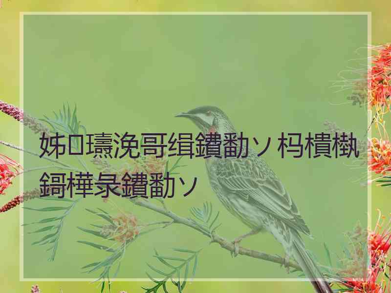 姊瓙浼哥缉鐨勫ソ杩樻槸鎶樺彔鐨勫ソ