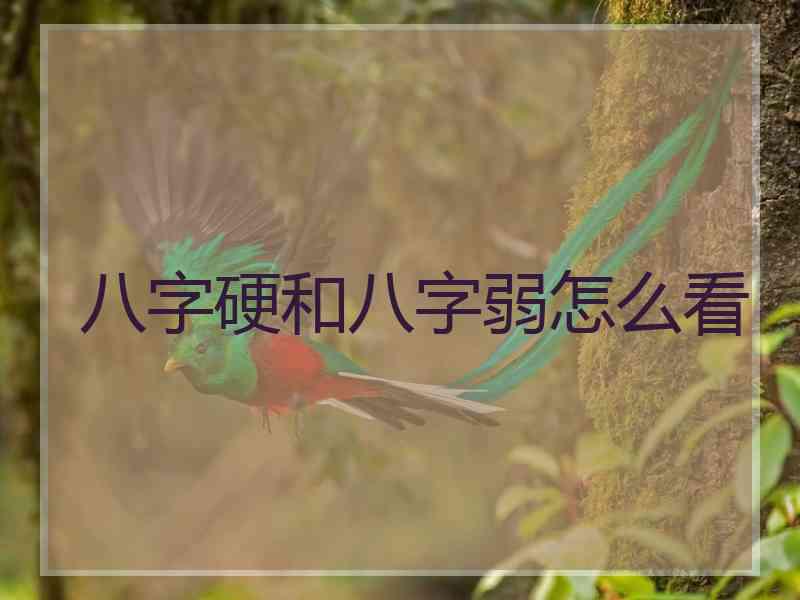 八字硬和八字弱怎么看