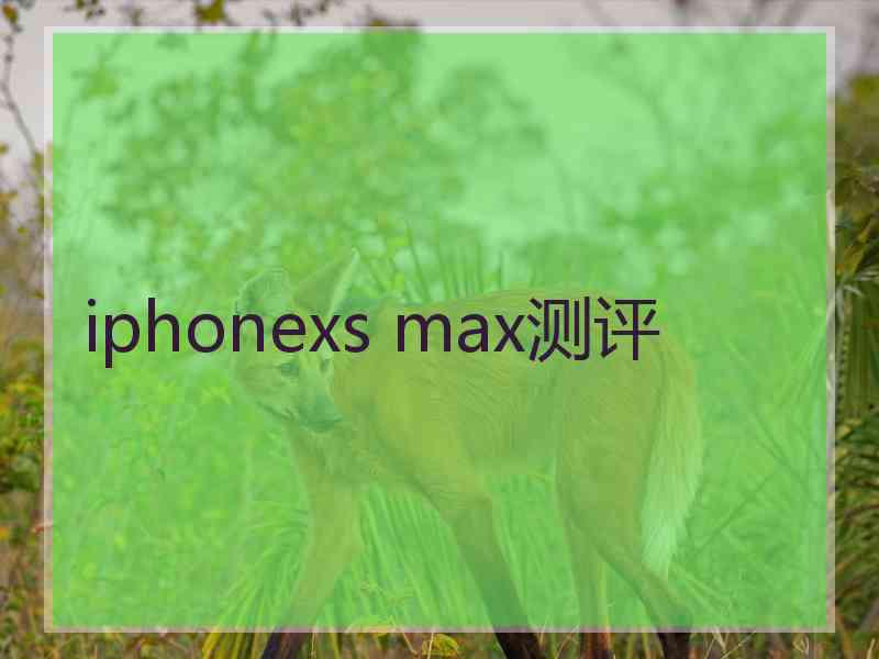 iphonexs max测评