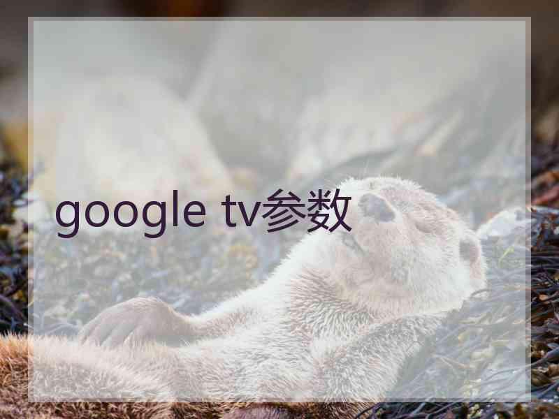 google tv参数